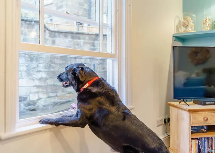 3 Bed In Robin Hoods Bay 89568 *