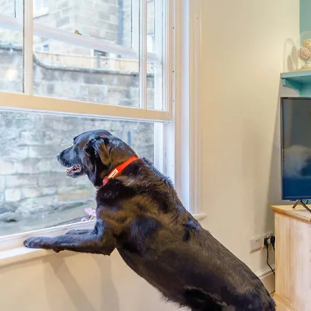 3 Bed In Robin Hoods Bay 89568 *